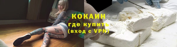 винт Козловка